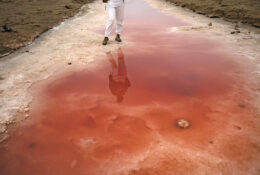 Namibia_August (128/135)
